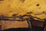 Polished Desert Sunset Banded Iron Section - Western Australia #240071-1